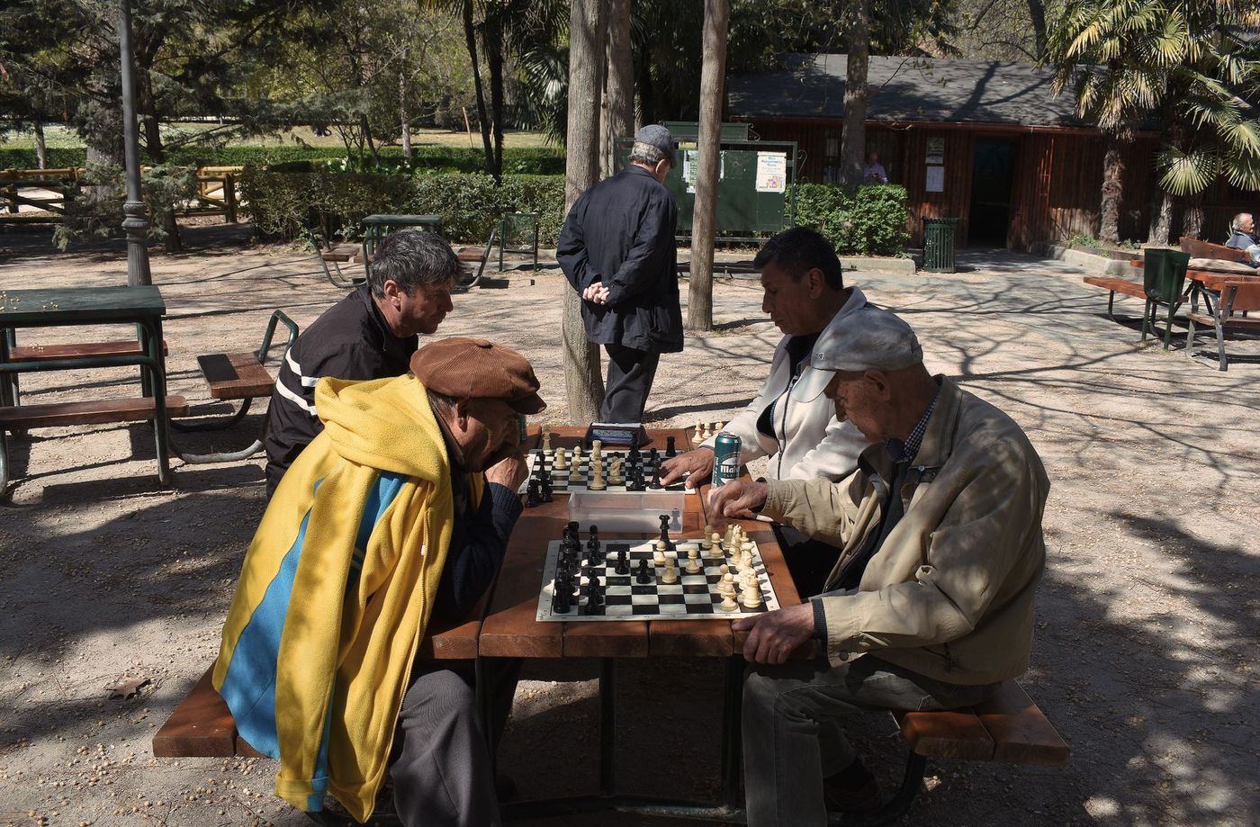 Older men playing chess at picnic tables in a sunlit park